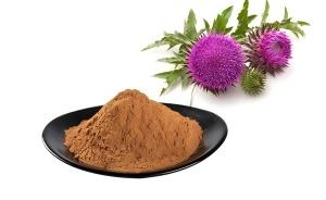Milk thistle extract benefits Milk thistle extract benefits