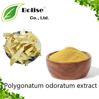 Polygonatum odoratum extract Polygonatum odoratum extract