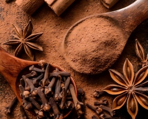 Star anise extract benefits