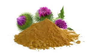 Thistle Extract: Natural Liver Support