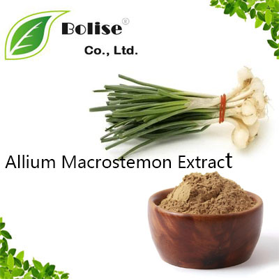 Allium Macrostemon Extract