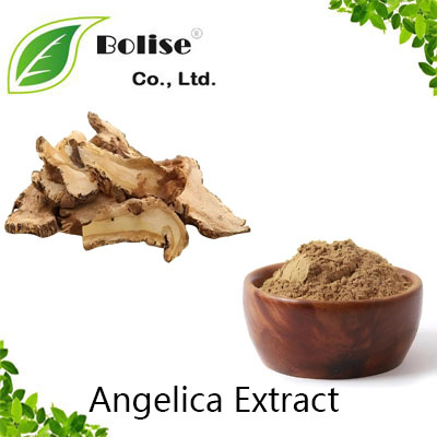 Angelica Extract Angelica Extract