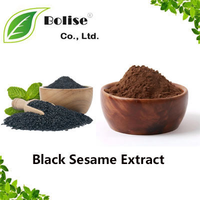Black Sesame Extract Black Sesame Extract