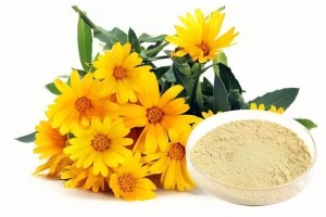 Chrysanthemum Extract:Natural support for skin and vision Chrysanthemum Extract:Natural support for skin and vision
