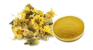 Chrysanthemum extract insecticide: Natural Pest Control