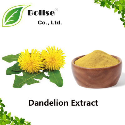 Dandelion Extract Dandelion Extract
