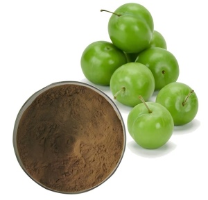Do you need to refrigerate plum extract?