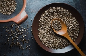 Does hemp seed extract contain thc? Does hemp seed extract contain thc?
