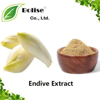 Endive Extract