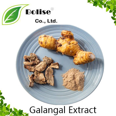 Galangal Extract Galangal Extract