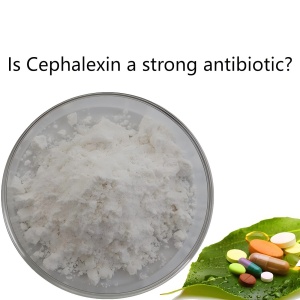 Is Cephalexin a strong antibiotic? Is Cephalexin a strong antibiotic?