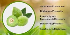 Is plum extract good for skin? Is plum extract good for skin?