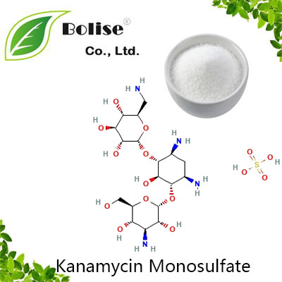 Kanamycin Monosulfate