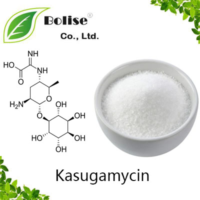 Kasugamycin Kasugamycin
