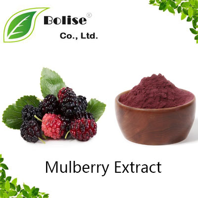 Mulberry Extract Mulberry Extract