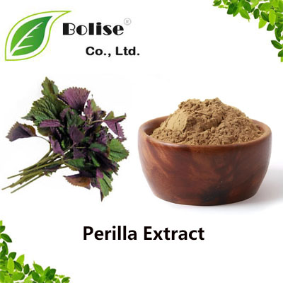 Perilla Extract Perilla Extract