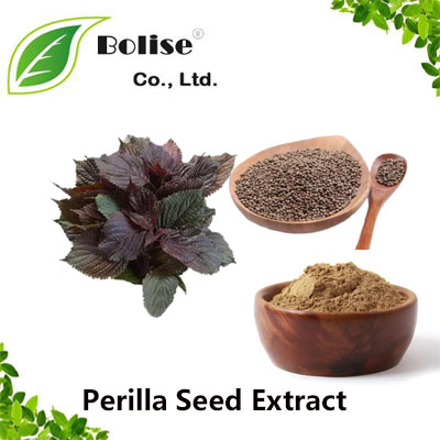 Perilla Seed Extract