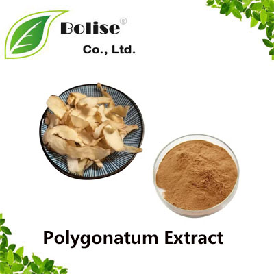 Polygonatum Extract Polygonatum Extract