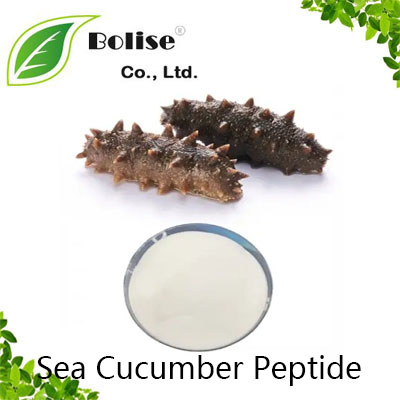 Sea Cucumber Peptide Sea Cucumber Peptide
