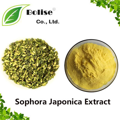 Sophora Japonica Extract Sophora Japonica Extract
