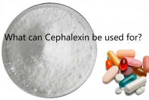 What can Cephalexin be used for? What can Cephalexin be used for?