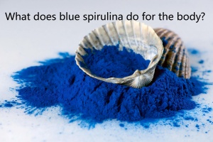 What does blue spirulina do for the body? What does blue spirulina do for the body?