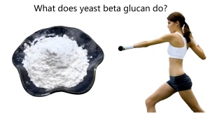 What does yeast beta glucan do? What does yeast beta glucan do?