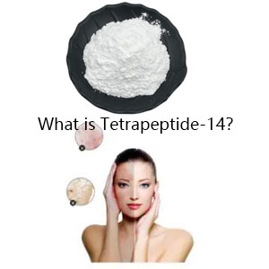 What is Tetrapeptide-14? What is Tetrapeptide-14?