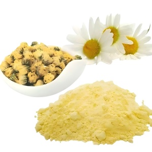 What is chrysanthemum extract good for? What is chrysanthemum extract good for?