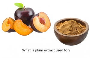 What is plum extract used for? What is plum extract used for?