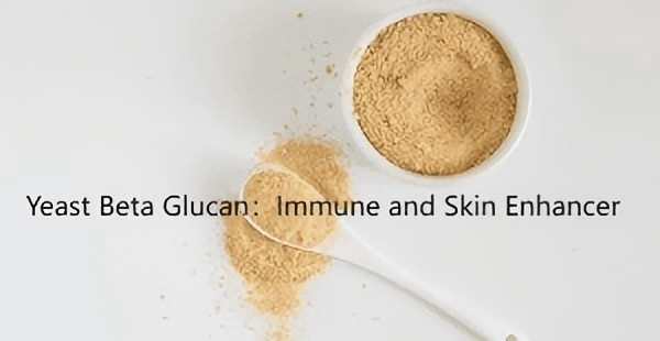 Yeast Beta Glucan:Immune and Skin Enhancer Yeast Beta Glucan:Immune and Skin Enhancer