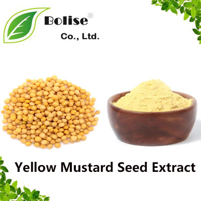 Yellow Mustard Seed Extract