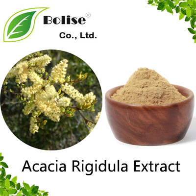 Acacia Rigidula Extract Acacia Rigidula Extract
