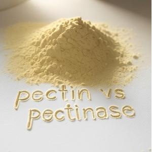 Are pectin and pectinase the same Are pectin and pectinase the same