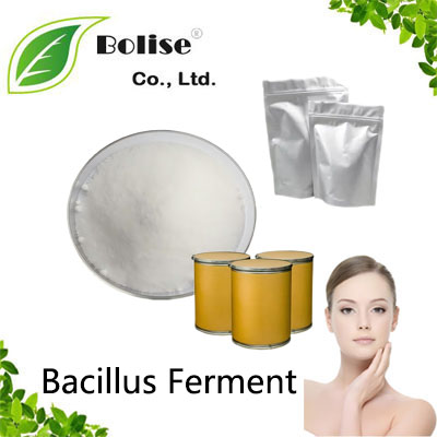 Bacillus Ferment