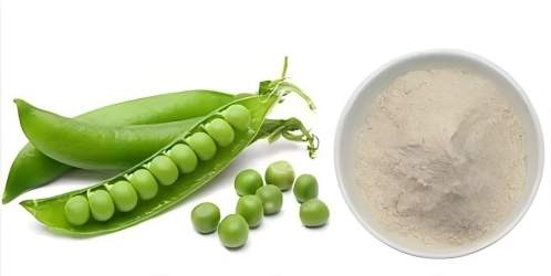 Benefits of Pea Peptide Benefits of Pea Peptide