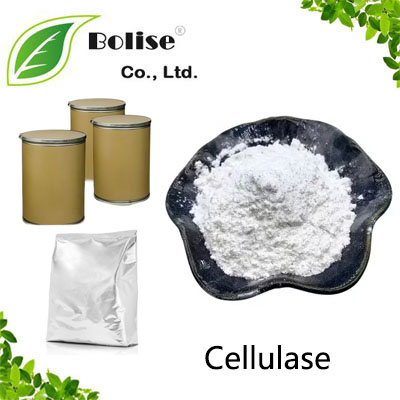 Cellulase Cellulase