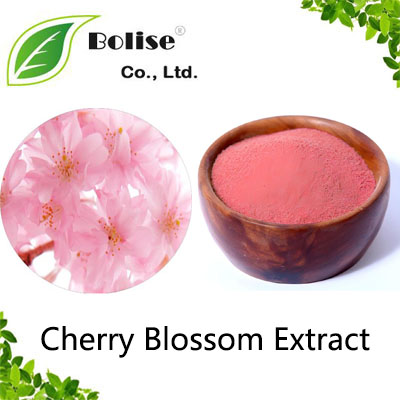 Cherry Blossom Extract Cherry Blossom Extract
