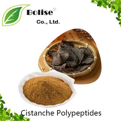 Cistanche Polypeptides