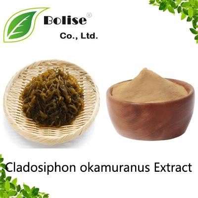 Cladosiphon okamuranus Extract