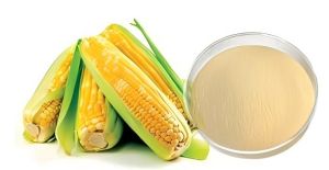 Corn Peptide Market: Your Guide to a Healthy, Trendy Superstar