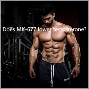 Does MK-677 lower testosterone? Does MK-677 lower testosterone?