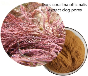 Does corallina officinalis extract clog pores Does corallina officinalis extract clog pores