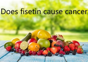Does fisetin cause cancer