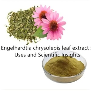 Engelhardtia chrysolepis leaf extract:Uses and Scientific Insights Engelhardtia chrysolepis leaf extract:Uses and Scientific Insights