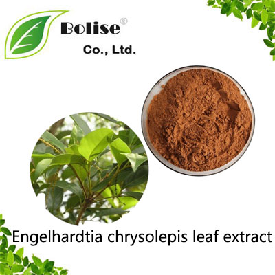 Engelhardtia chrysolepis leaf extract Engelhardtia chrysolepis leaf extract