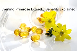 Evening Primrose Extract：Benefits Explained