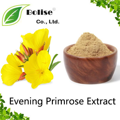 Evening Primrose Extract Evening Primrose Extract