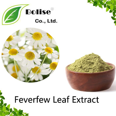 Feverfew Leaf Extract Feverfew Leaf Extract