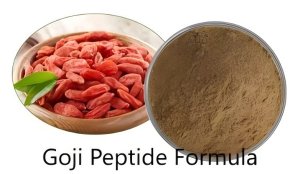 Goji Peptide Formula Goji Peptide Formula